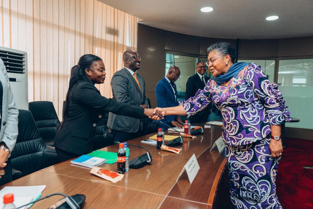 PM-SUMINWA-CLIMAT-AFF-3-1024x683 RDC-Japon : La JICA tient au partenariat avec le Gouvernement Suminwa autour du Grand Inga et d’autres projets structurants