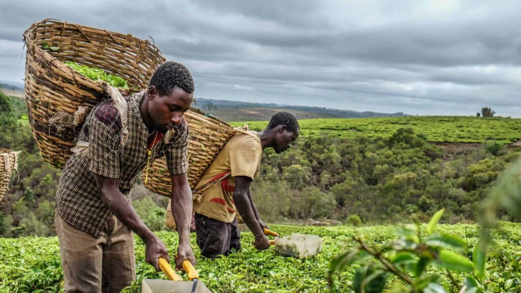 1001434830-1024x576 RDC-valorisation du CDF et transition vers le numérique : Le Député national honoraire, Alain Lubamba déroule les recettes d'une économie forte et inclusive