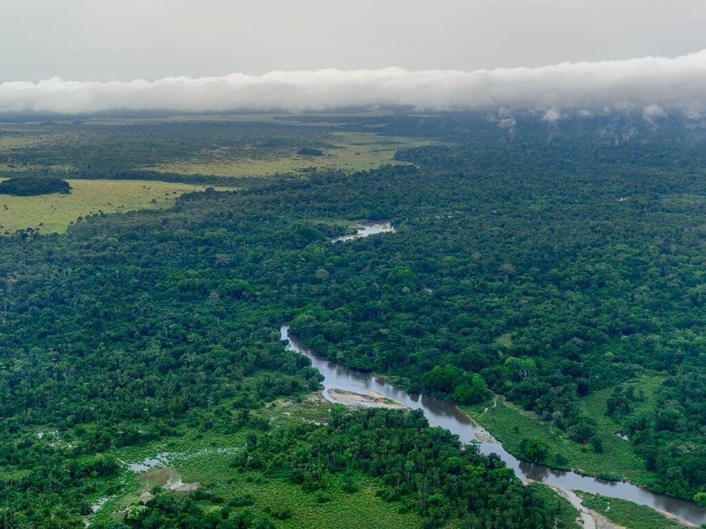 1001475524-1024x768 Environnement : Une rencontre scientifique bientôt à Kinshasa pour évaluer la mise en œuvre de l’Accord de Paris, 10 ans après