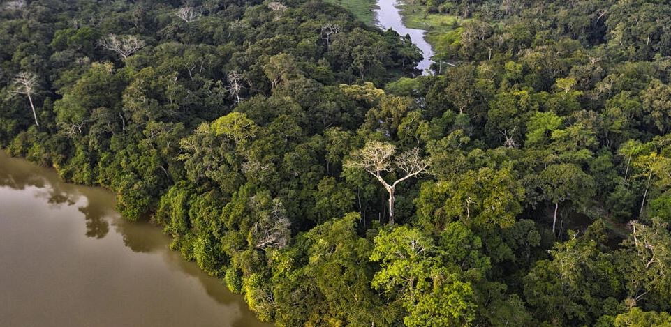 1001475525 Environnement : Une rencontre scientifique bientôt à Kinshasa pour évaluer la mise en œuvre de l’Accord de Paris, 10 ans après