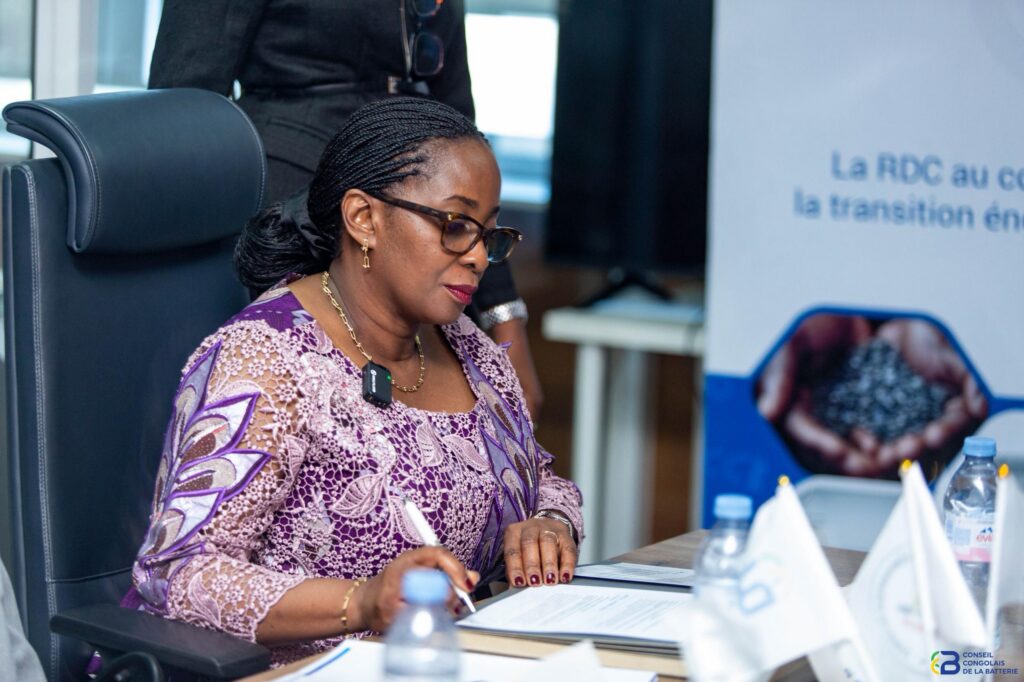1002353096-1024x682 ‎RDC : Le Conseil Congolais de la Batterie et Standard Bank RDC en phase pour booster la chaîne de valeur autour des batteries