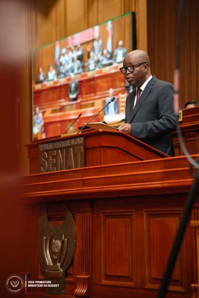 1002543556-684x1024 RDC-‎Loi de finances rectificative 2026 au Sénat : Estimé à 21,9 milliards USD le projet présenté par le Vice-Premier Ministre Adolphe Muzito jugé recevable