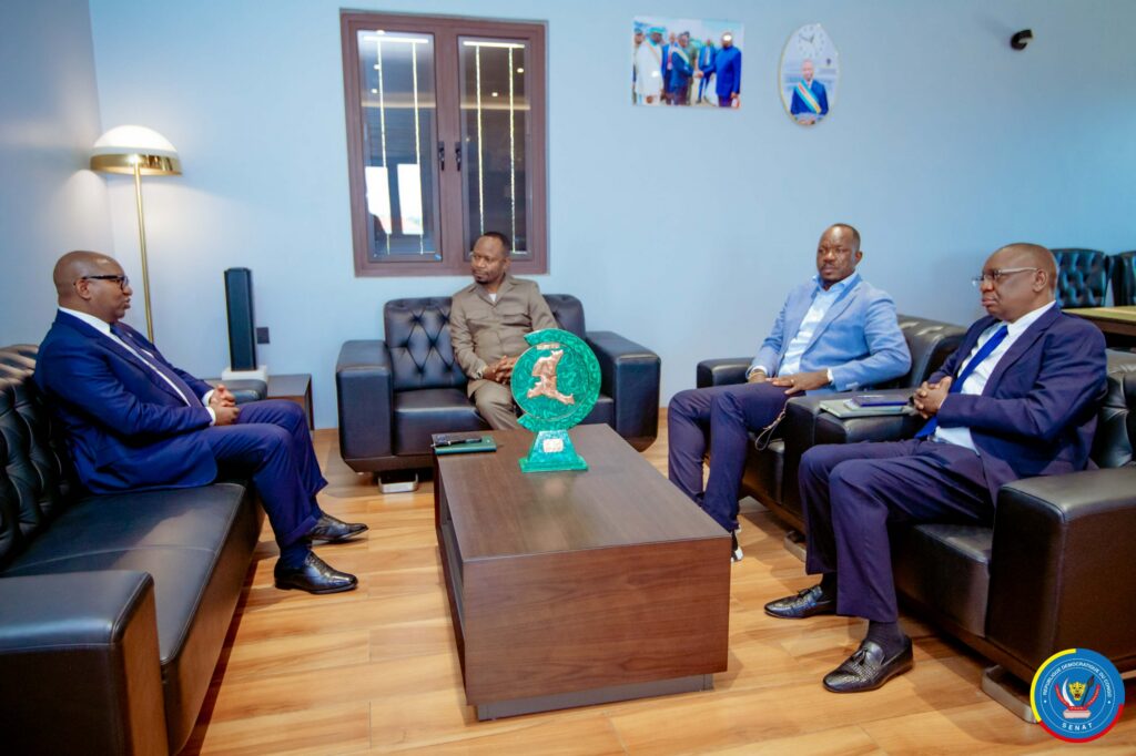 1002862375-1024x682 SENAT-RDC : Les desiderata du Haut-Katanga et le dialogue national en toile de fond des échanges entre Sama Lukonde-Assemblée provinciale-forces vives
